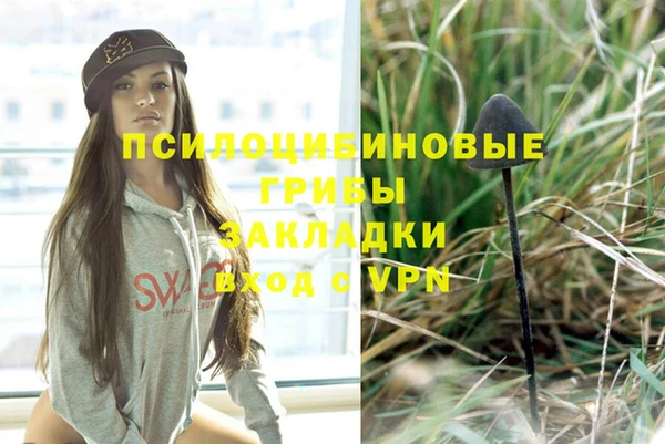 ГАЛЛЮЦИНОГЕННЫЕ ГРИБЫ Алексеевка